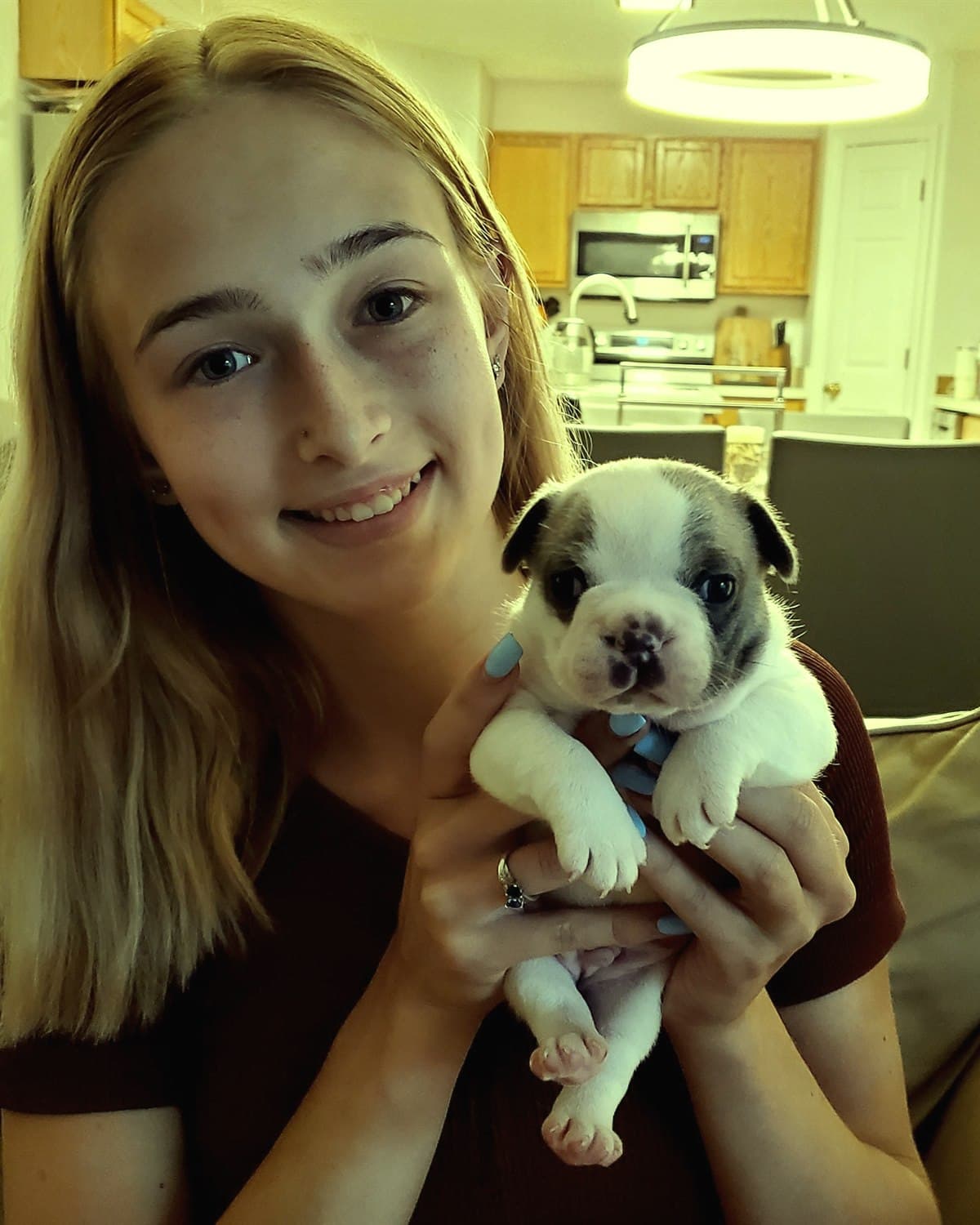 An English bulldog puppy held by a family member in our kitchen, 2024